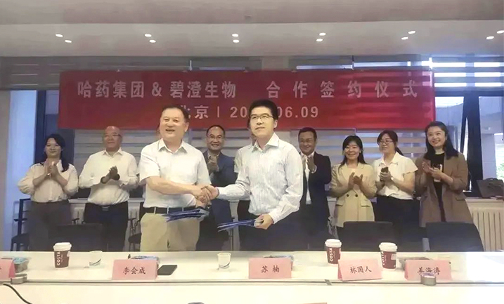 哈药携手清华大学，强强联合共创胶原蛋白行业未来